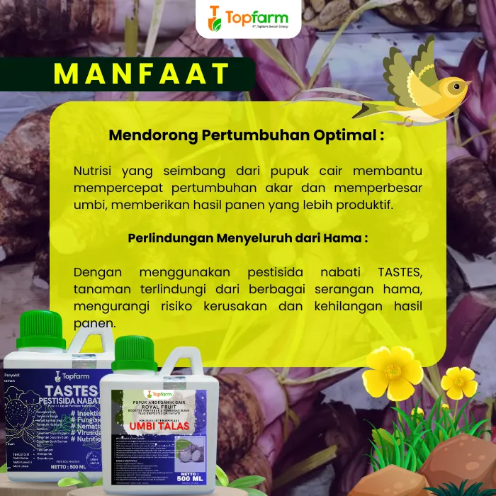 Pupuk%20Pestisida%20Topfarm%20/%20Pupuk%20Khusus%20Ubi%20Talas%20/%20Pupuk%20Umbi%20Talas%20Pelebat%20Buah%20/%20Pupuk%20Buah%20Super%20Lebat%20Talas%20/%20Obat%20Ubi%20Talas%20Anti%20Busuk%20Buah%20/%20Obat%20Hama%20Untuk%20Tanaman%20Talas%20/%20Pupuk%20Pembesar%20Ubi%20Talas%20-%20Image%207