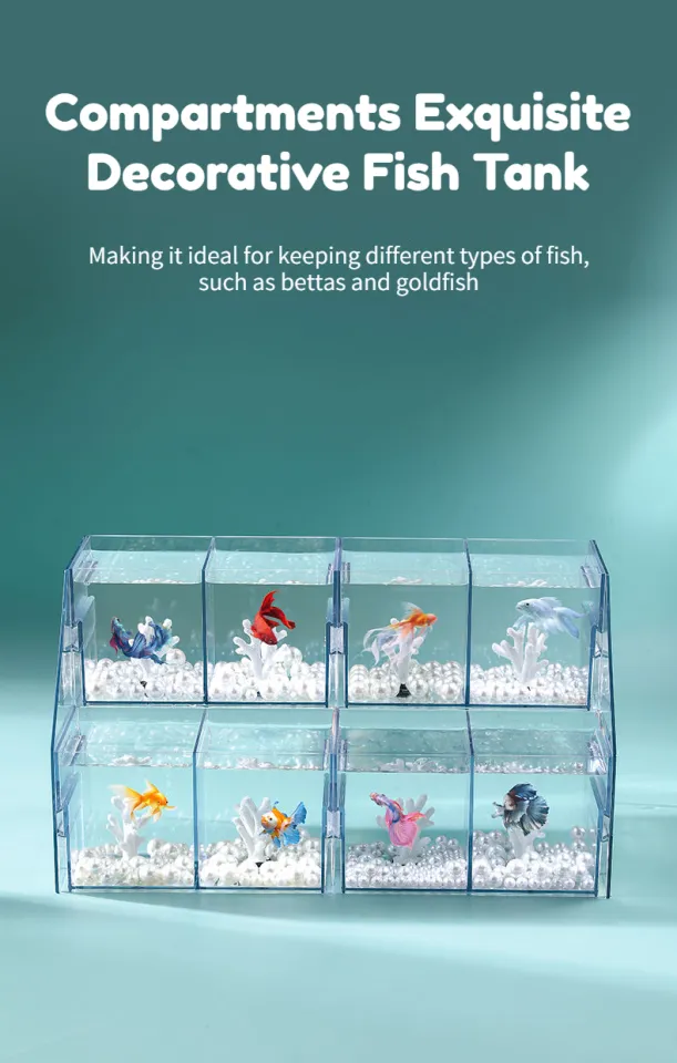 Compact and Stylish Transparent Plastic Desktop Fish Tank Small Mini Home  Aquarium with Multiple Layers and Compartments Exquisite Decorative Fish  Tank
