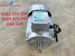 Động cơ điện mô tơ Toàn Phát 2 ngựa 2900v/p điện 220v dây đồng 100%