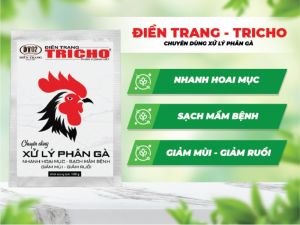 Phân Vi Sinh Vật ĐIỀN TRANG TRICHO XỬ LÝ PHÂN GÀ 100G CHUYÊN DÙNG XỬ LÝ PHÂN GÀ. NHANH HOAI MỤC - SẠCH MẦM BỆNH - GIẢM MÙI - GIẢM RUỒI