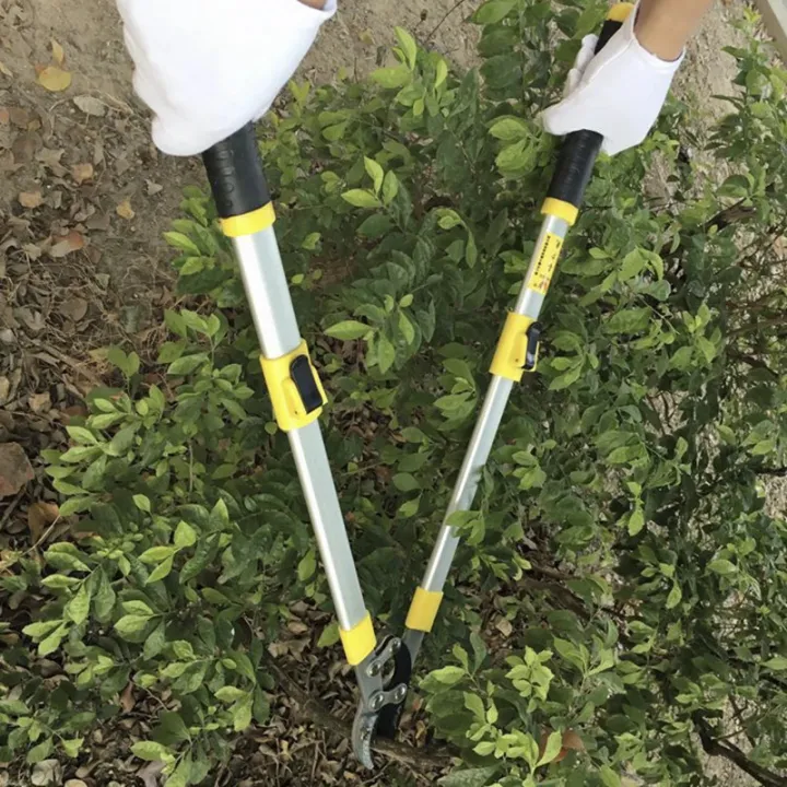 Garden%20Branch%20Scissors%20Stretchable%20SK5%20Steel%20Long%20Pruner%20Gardening%20Fruit%20Tree%20Pruning%20Shears%20Garden%20Tool%20-%20Image%207