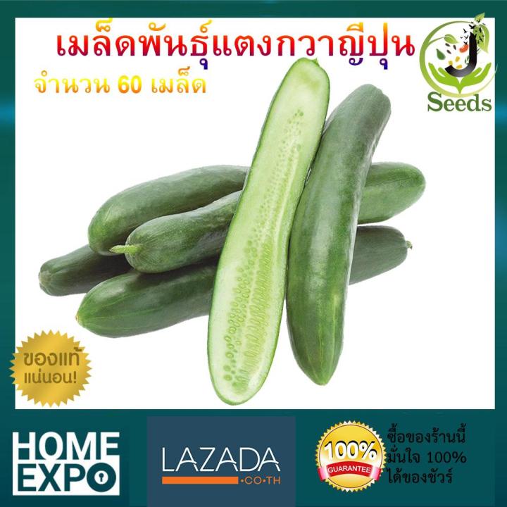 เมล็ดพันธุ์แตงกวาญี่ปุ่น JenSeed ปลูกง่าย โตเร็ว