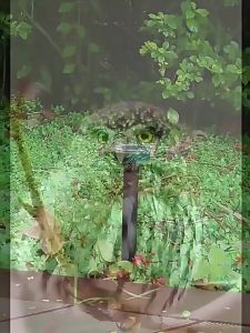 Ultrasonic Bird Repellent Solar Energy Automatic Bird Repellent Away Mouse And Various Pests