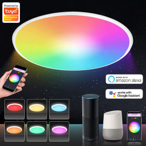 Smart RGB Ceiling Light Wifi APP Voice Control With Alexa Google LED Light Ceiling lamp For Living Room decoration Bedroom
