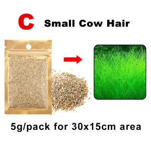 Aquatic Plants Seeds Aquarium Water Grass Seeds Small Couple Leaf Seeds Big Cow Carpet Plants for Fish Tank Decoration