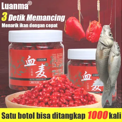 Solid Earthworm Red Baits Tilapia Bait Lure for Fishing Fast For Carp Grass carp Herring Tilapia
