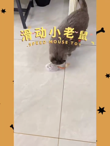 หนูของเล่นทีเซอร์แบบโต้ตอบของเล่นแมวแบบโต้ตอบสำหรับแมวในร่มกลางแจ้ง