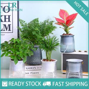LF Wholesale✨Flash Sale ✨ Double-layer Self Watering Plant Pot Transparent Plastic Flower Vase Automatic Lazy Potted Flower Pot Hydroponic Flowerpot Decor