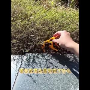 Solar Powered Mechanical Dog 、 Mechanical Cat ， Science and Education Experiments ， Quadruped Robot