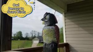 Owl Decoys to Scare Birds Squirrels Away Fake Owl Decoys to Scare Squirrels with Rotating Head Owl Decoy to Keep Birds Away