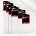 Renaissance Stretch Canvas All Purpose Painting Hobby Canvas Artist Rectangle White Canvas. 
