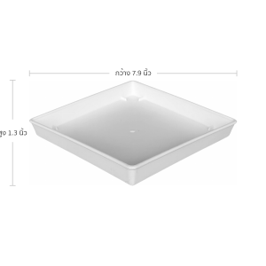 กระถาง กระถางต้นไม้ กระถางสี่เหลี่ยมทรงสูง 7 นิ้ว สีขาว 10 ใบ ชิ้น อัน