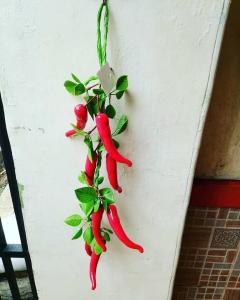 artificial buah cabe hiasan dapur hiasan resto hiasan cafe