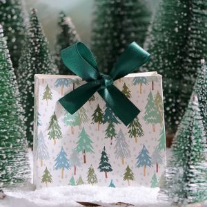 10pcs Mini Christmas Gift Boxes w/ribbon -  Holiday Treat Bags - Perfect for Sweets & Chocolates