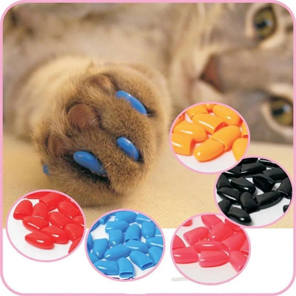 DUDU Pet 20 pcs Soft Silicone Soft Cat Nail Caps Colorful Cat Paw
