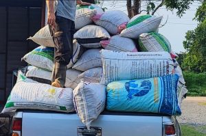 ขี้วัวนม ปุ๋ยคอกเต็มถุงอาหารสัตว์30กก.หนัก13-15กก.ไม่มีโซดาไฟ