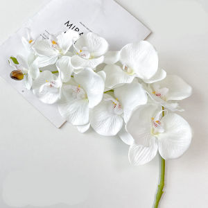(10 Kuntum) Bunga Anggrek Besar Phalaenopsis/Bunga Dekorasi