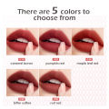 Ashley Shine Soft  Fog Lip Mud Long-lasting Waterproof Sweat 5 Colors Non-sticky Liquid Lipstick Lip Gloss AS2136. 