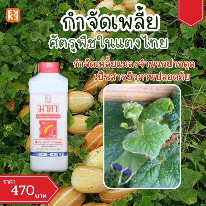 FK-T ยาฆ่าเพลี้ยชีวภาพ สำหรับแตงไทยและพืช