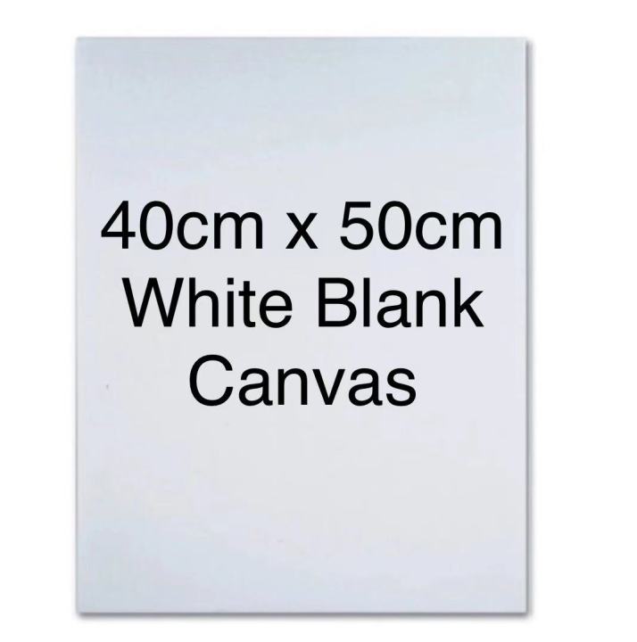 40cm x 50cm White Blank Canvas Art Boards Stretched Artist Canvas