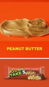 .com：REESES TAKE 5  Crackers 、 Candy bar with peanuts and chocolate ，1.5  Ounce （18  Block ）： Food groceries and delicacies