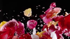 Nước hoa hồng dưỡng ẩm hàng ngày Locsanity và tinh dầu bạc hà làm tươi mát da đầu cho tóc tết và tóc dreadlocks - Chăm sóc và bảo dưỡng tóc tự nhiên (8oz)