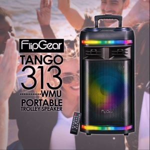 Vinnfier VF Tango 313 WM 2024 Portable Trolley Bluetooth Speaker with Karaoke System Bluetooth FM Radio USB Drive Micro SD AUX LINE-IN 7 colors pulsating LED  Remote Control and Free 2 Wireless Mic