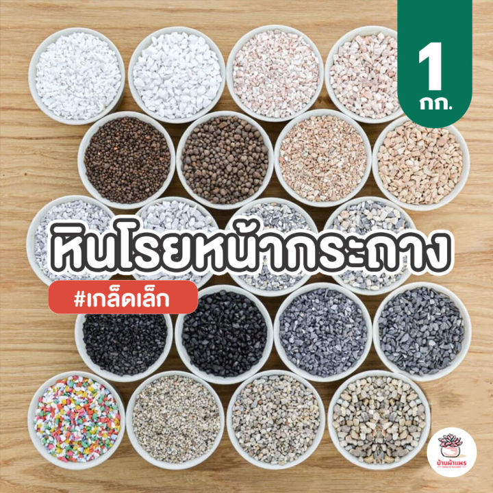 หินเกล็ดโรยหน้ากระถาง 1 กก. สำหรับแคคตัสและไม้อวบน้ำ