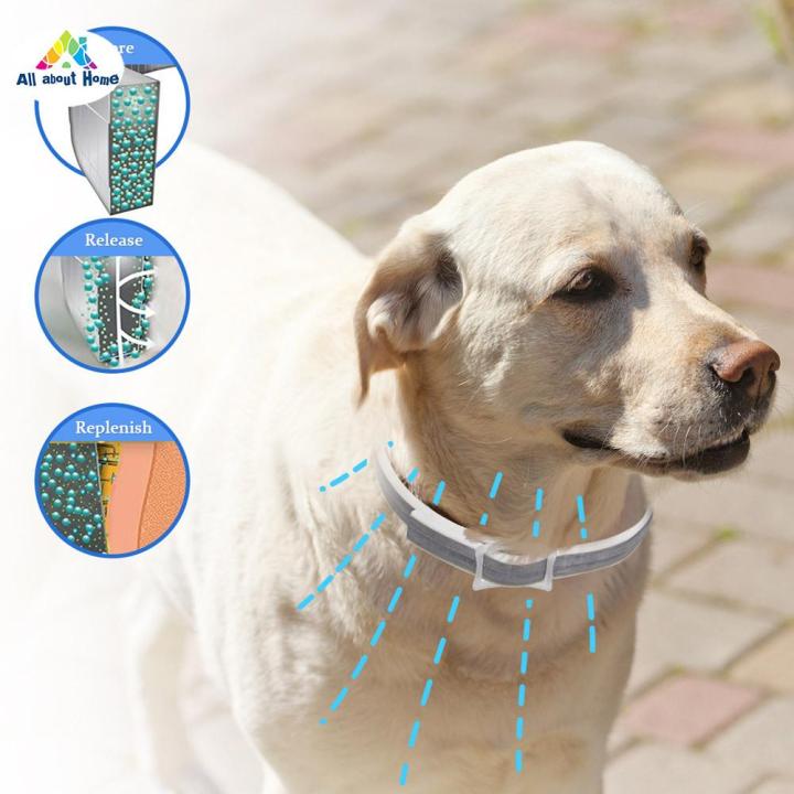 ABH Flea Shield Collar Dog Cat Anti Tick Insect Mosquitoes Adjustable Waterproof Protection Lazada