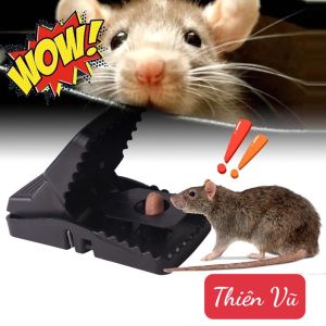 Bẫy chuột thông minh thế hệ mới kèm lò xo đàn  hồi với độ nhạy cao tiện lợi - gia dụng Thiên Vũ