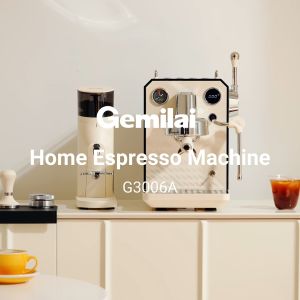 Gemilai Owl G3006A Espresso Machine Hot & Cold Dual Brew  58mm Professional System