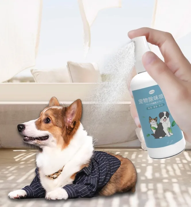 น้ำหอมและน้ำยากำจัดกลิ่นตัวสุนัข Boqi Factory สเปรย์กลิ่นสำหรับสัตว์เลี้ยงโดยเฉพาะ กำจัดกลิ่นตัว ขนาดพกพา 10ml DEODORIZING2
