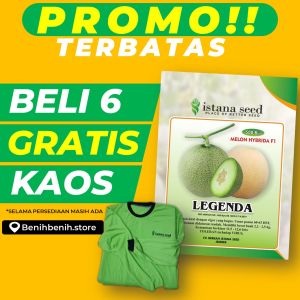 Benih Melon F1 LEGENDA / Bibit Melon Hibrida LEGENDA / Benih Melon Tahan Virus LEGENDA