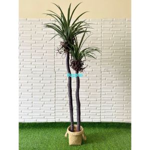 Pohon Artificial Tanaman Hias Pandan Bali X2 T160 Latex Pohon Dracaena Dragon Cover Pot Purun Handle Dekorasi Cafe Pajangan Kantor