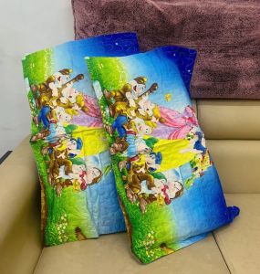 Princess - [Pillowcase only] 2PCS Premium Character Printed Pillowcases - Queen-18"x28"inches