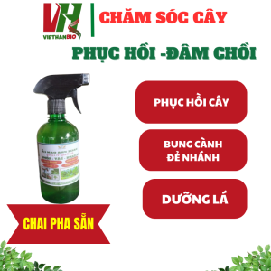 𝐒𝐢ê𝐮 𝐤í𝐜𝐡 𝐫ễ pha sẵn Biogreen999 ra rễ cực mạnh dưỡng phục hồi rễ sang chậu cho cây trồng