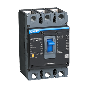 CHINT Thermal Magnetic Fixed Type MCCB NXM-250H