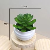Mini Simulation Plants Bonsai Artificial Succulent Plants Potted Ornaments Home Office Desktop Decor