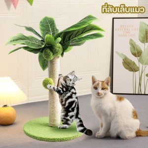 ที่ลับเล็บแมวรูปต้นกระบองเพชร ที่ลับเล็บแมว ของเล่นแมว ที่ข่วนเล็บแมว 🇹🇭พร้อมส่ง