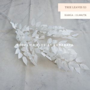 [TREE LEAVES X3] DAUN POHON CABANG 3 LEBAT PANJANG DAUN DEKORASI PELAMINAN WEDDING DECORATION RUMPUT GREENERY GREEN GREENIES RUSKUS DAUN RAMBAT FILLER ROSEMARY EUCALYPTUS WILLOW PAKIS TANAMAN HIJAU MAHAR CRAFT DRIED FLOWER PROPERTI FOTO PHOTO PROPERTY