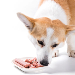 ไส้กรอกแฮมสุนัขอาหารหมา 15g*50แท่ง ไส้กรอกสุนัข อาหารแมว ขนมแมว ขนมสุนัขแปรรูปจากเนื้อ เป็ด ไก่ ปลา หมากับแมวชอบกิน