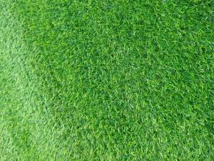 (แบ่งตัด 2-10 ตรม. หญ้าเทียม 2 cm.PM.พรีเมี่ยม )หญ้าเทียมใช้งานได้ทั้งภายนอกและที่ร่ม ทอหนาแน่นพิเศษ เคลือบUV หญ้าสีสวยเป็นธรรมชาติ สวย ตรงปก พร้อมส่ง