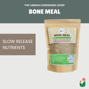 Bone Meal  - An All- Natural Soil Additive Derived from Livestock Bones to Induce Flowering in Home Gardens