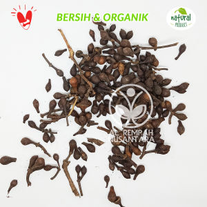 Biji Ceplikan atau Ceplik Sari kering 100gr - Asli Hutan