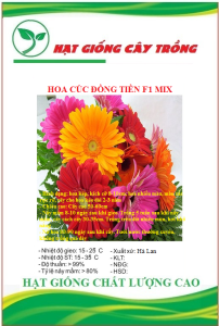 Hạt Giống Hoa Cúc Đồng Tiền F1 Nhiều Màu CT419 - Gói 10 hạt
