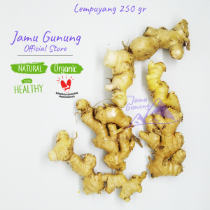 Lempuyang Emprit Segar 250gr Organik dari Lereng Gunung Kidul