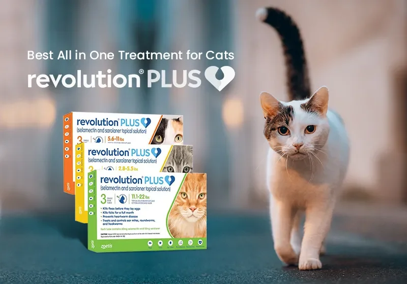 Revolution plus best sale green for cats