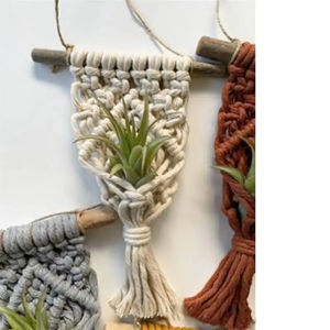 Various Colours rame Air Plant Holder Boho Style Cotton Hand Weaving Hanging Planter For Home Decor Living Room Decoration