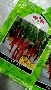 Bibit Cabe Besar Merah Benih Cabai PILAR F1 Cap Panah Merah 1.500 butir