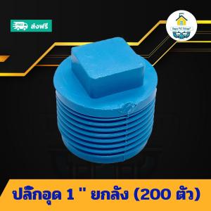 (ยกลัง200ตัว) ปลั๊กอุด 1 นิ้ว ยกลัง ตัวอุดพีวีซีเกลียวนอก 1นิ้ว ข้อต่อพีวีซี PVC ส่งไว ส่งทุกวัน ถูกคุ้ม ราคาโรงงาน